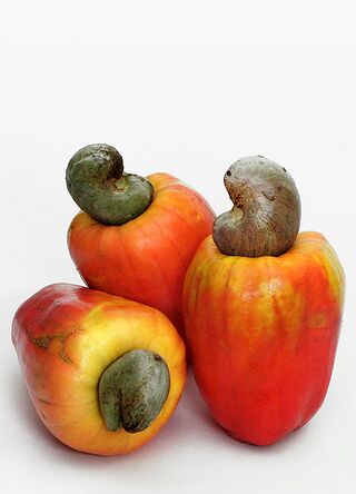 Cashew Apples