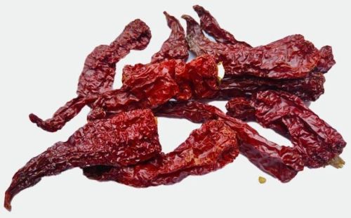 Stemless Red Chilli-dabbi