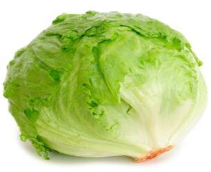 Lettuce Iceberg