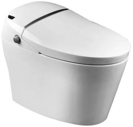 White Electric Toilet