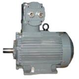 Kirloskar Electric Motor