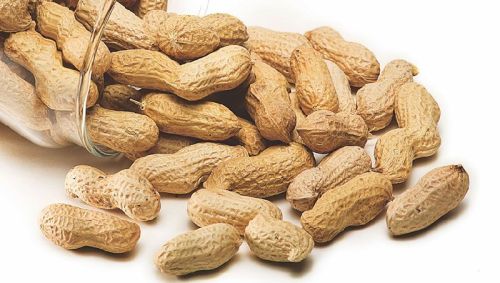 Groundnuts