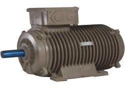 CROMPTON GREAVES Flame Proof Motor