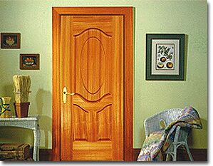 PVC Moulded Doors