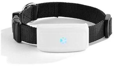 PET GPS Tracking Device