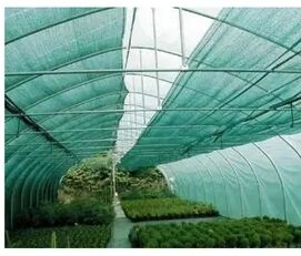 HDPE Plastic Green Shade Net, Packaging Type : Roll