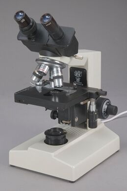 Research Binocular Microscope