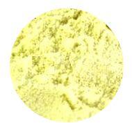 Custard Apple Powder