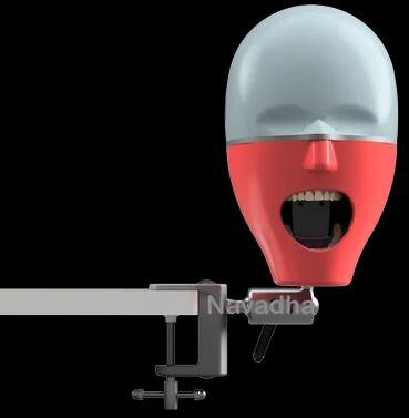 Metal Dental Manikin Phantom Head