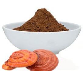 Ganoderma Extract