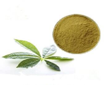 Guava Leaf Extract