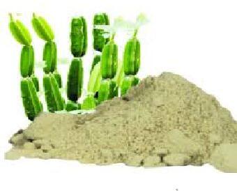 Hadjod Cissus Quadrangularis Extract
