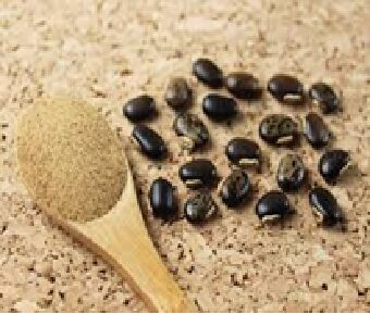 Mucuna Extract