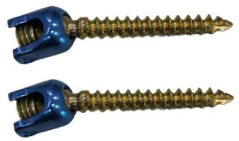 Titanium POLYAXIAL SCREW