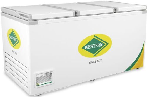 825 Litre Deep Freezer