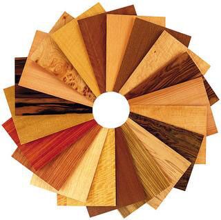 Wooden Veneers, Size : 8*4 Square Feet