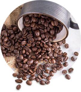 Coffee beans, Shelf Life : 1 Year