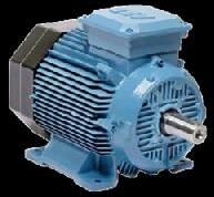 AC Squirrel Cage Induction Motor