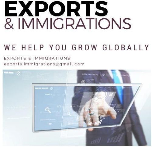 Business Immigration Service