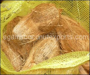 Coconut, Texture : Hard