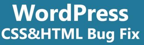 We Will Fix WordPress CSS Quick