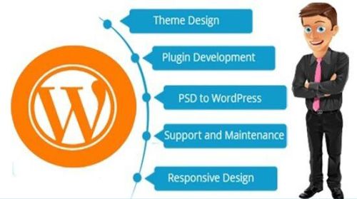 We Will Move Wordpress Site In 24 Hours