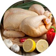 Chicken meat