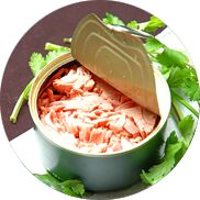 Tuna