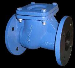 Cast Iron Non Return Valve, Packaging Type : Box