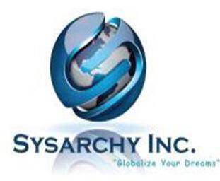 Professional it services