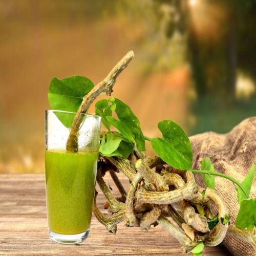 Amazing Enterprises Giloy Juice, Certification : Fssai