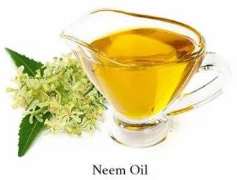 Pure Cold Pressed Neem Oil, For Pharma, Packaging Type : Plastic Bottle