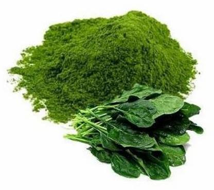 Amazing Enterprises Spinach Powder, Packaging Size : 305 Gm