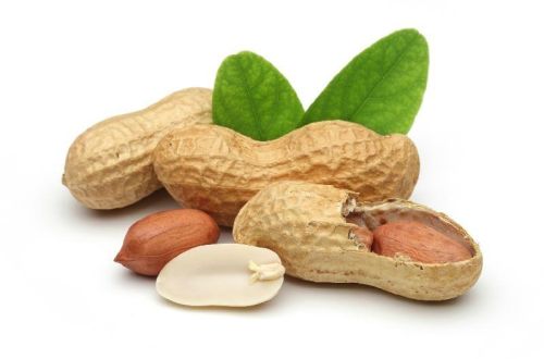 Peanut, Feature : No Preservatives, No Artificial Flavour