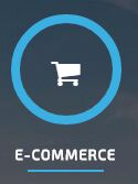 Ecommerce Services