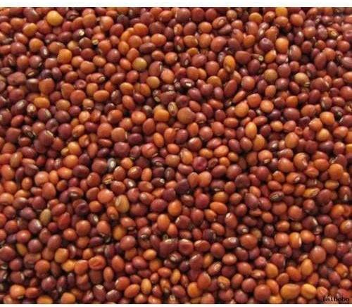 Red Natural Ragi Seeds, For Cooking, Cattle Feed, Packaging Size : 25kg