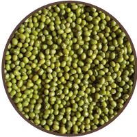 Green Mung Beans