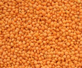 Lentils