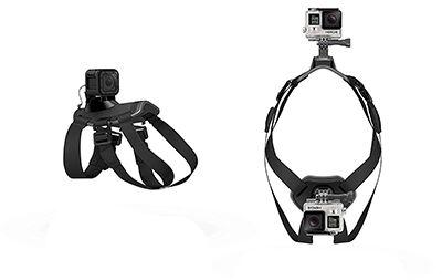 GoPro Fetch Dog Harness