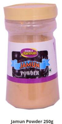 Jamun Powder, Packaging Type : Normal