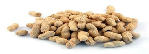 Groundnuts