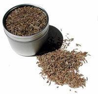 Cumin Seed