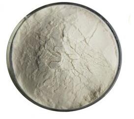 Invertase Enzyme, Form : Powder