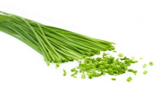 Chives