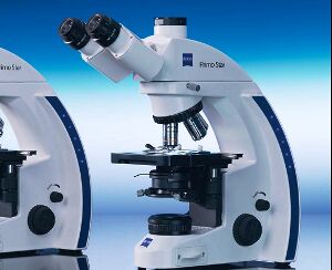 Stereozoom Microscopes