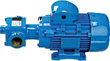 Internal Gear Pump