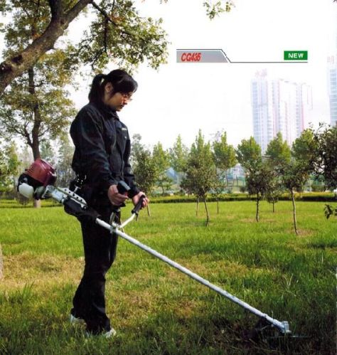 Brush Cutter, Power Type : 1E40F-6