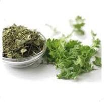 Dehydrated Coriander