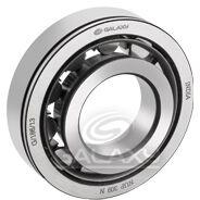 Cylindrical Roller Bearing