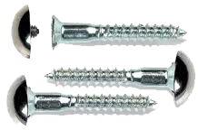 Polished Stainless Steel Mirror Screws, Head Shape : Round